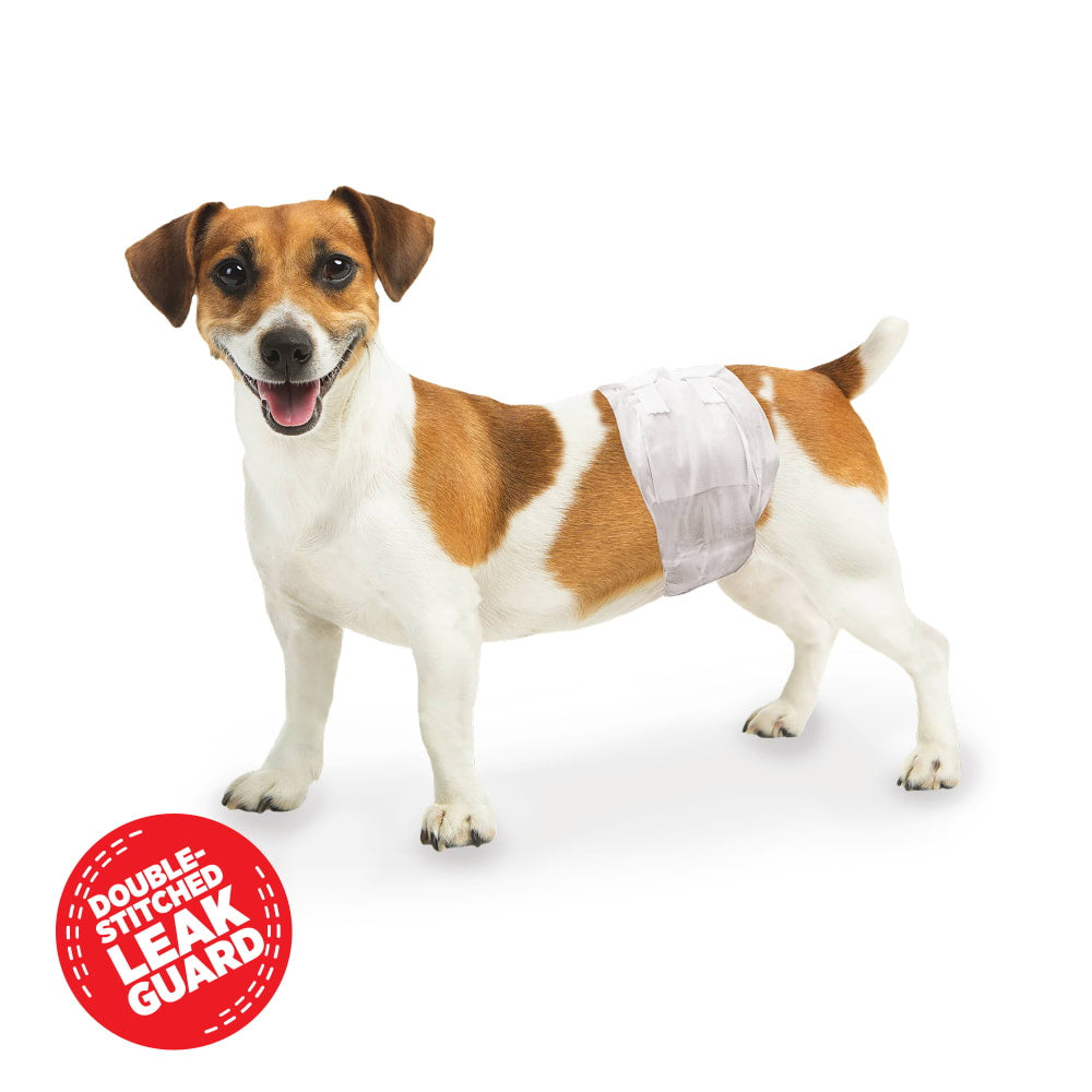 Four Paws Wee Wee Disposable Male Dog Wraps Small dog