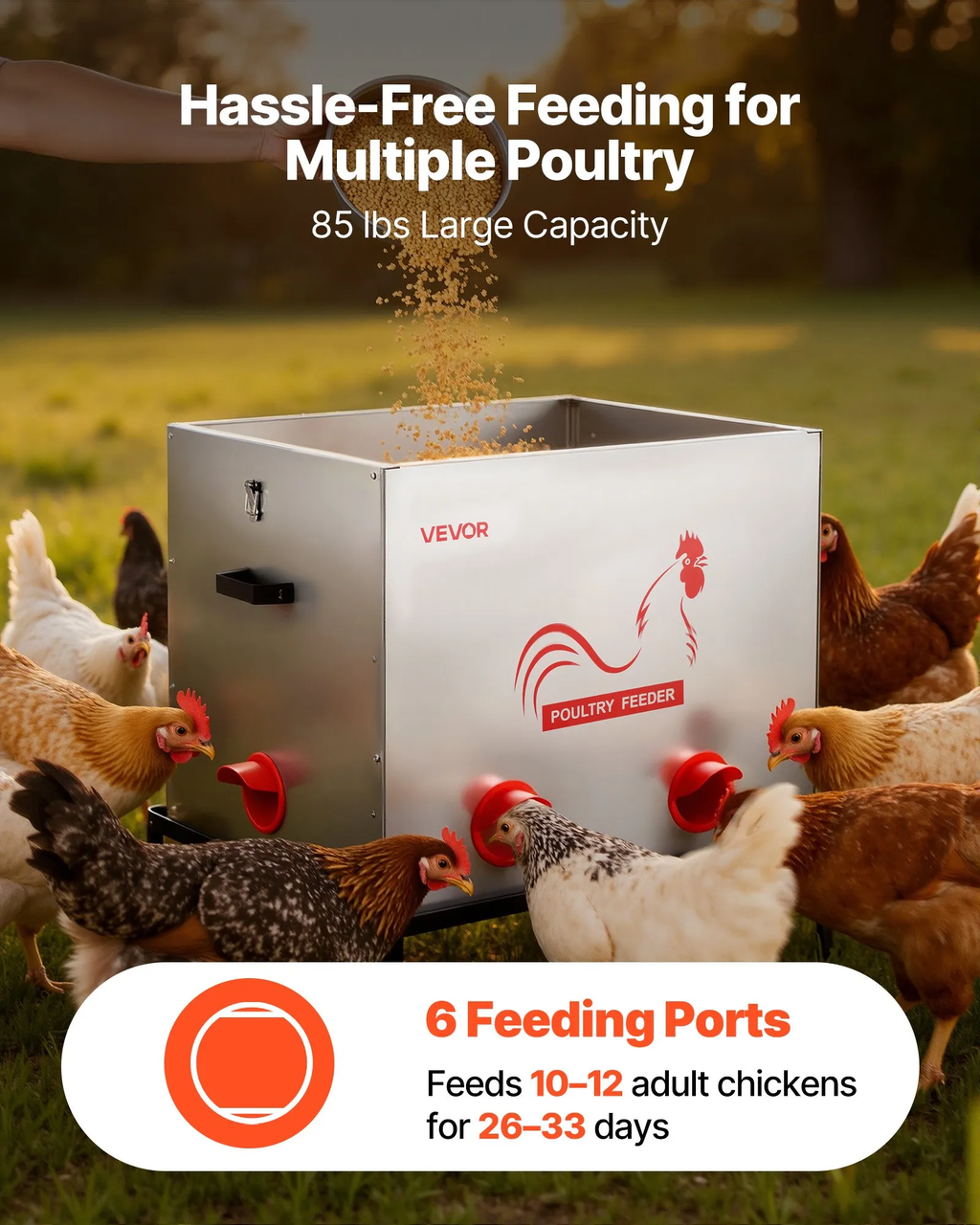 Automatic Chicken Feeder, 40 lbs Capacity, 6 Feeding Ports No-Waste Poultry Feeder with Built-In Divider, with Latch & Handle, Metal Construction, for Chickens Bantams Pheasants Poultry Coop