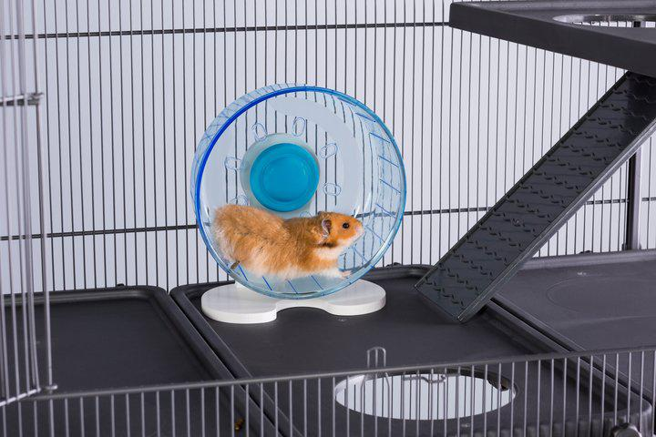 Prevue Pet Prevue Quiet Wheel 8inch 90017