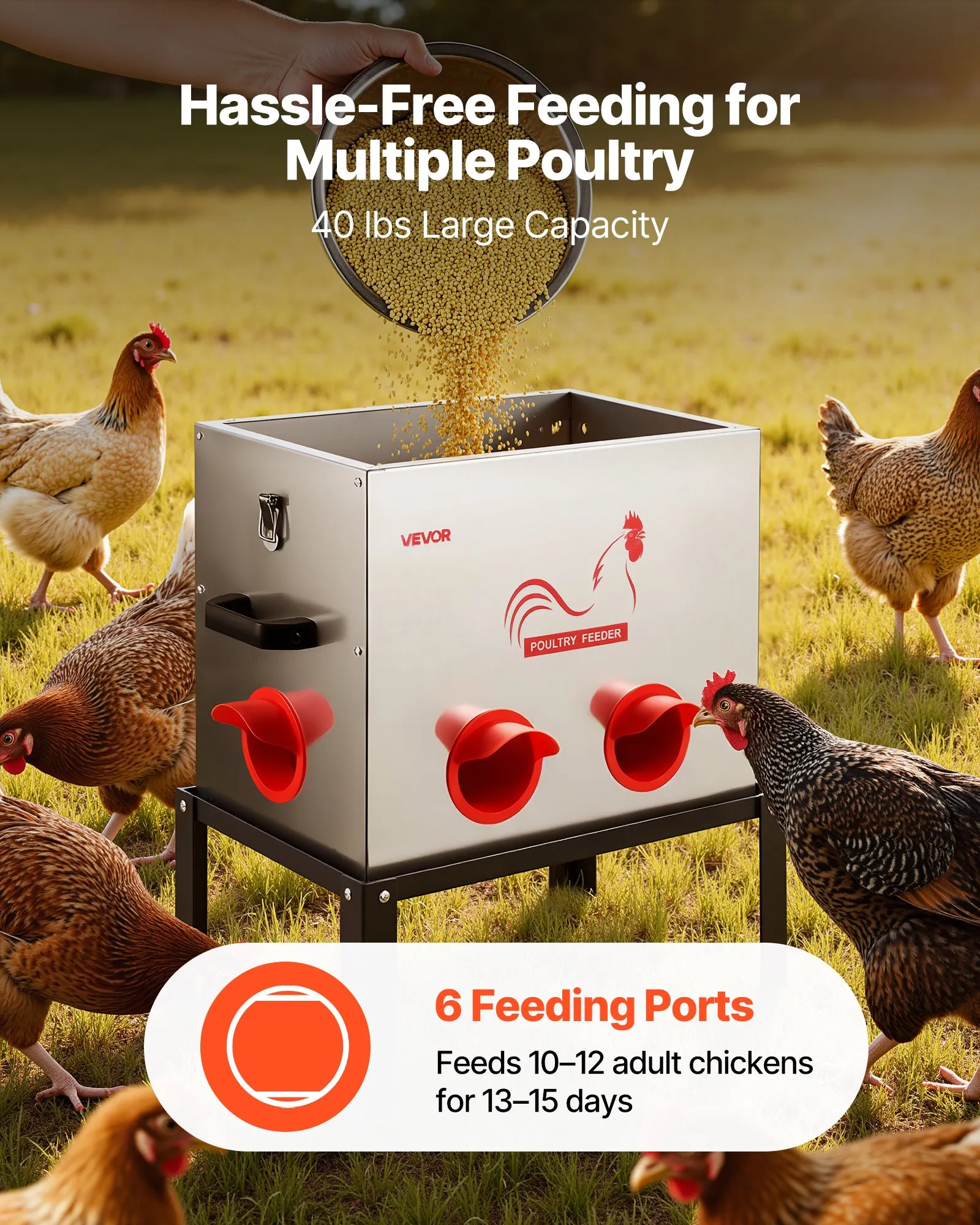 Automatic Chicken Feeder, 40 lbs Capacity, 6 Feeding Ports No-Waste Poultry Feeder with Built-In Divider, with Latch & Handle, Metal Construction, for Chickens Bantams Pheasants Poultry Coop