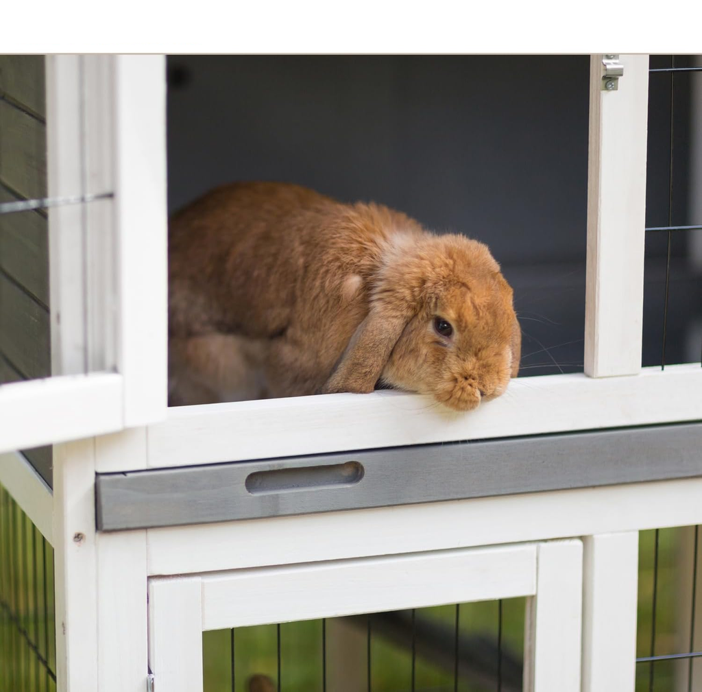Prevue Pet Products 4601 Duplex Rabbit Hutch