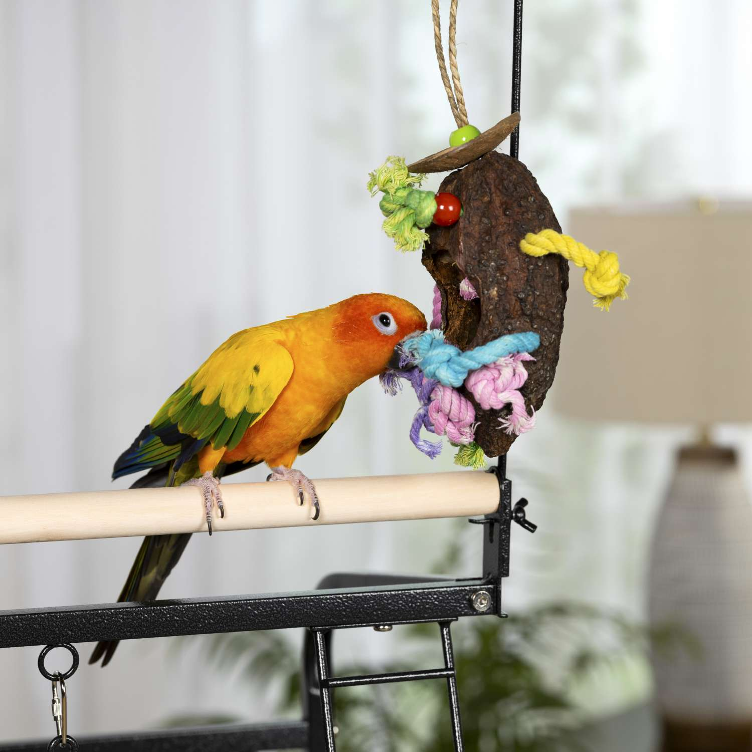 Prevue Pet Mr Bean 62189 Bird toy