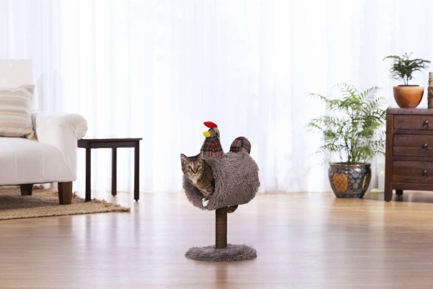 Prevue Pet Cozy Chicken 7340 new