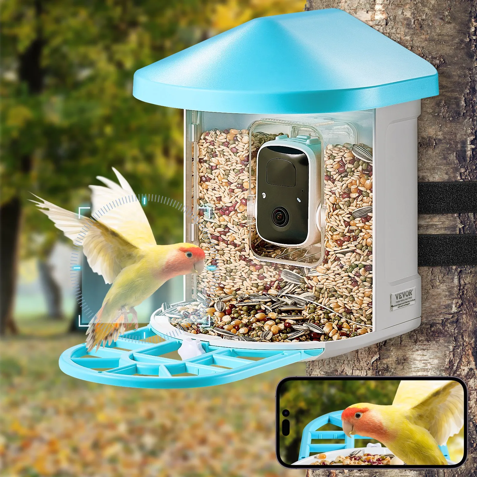 Smart Bird Feeder with Camera, 2K HD AI Identify 10,000+ Bird Species, Solar-Powered Bird Watching Camera with Auto Capture & Instant Notify, Wireless Outdoor Ideal Gift for Bird Lovers (Green)