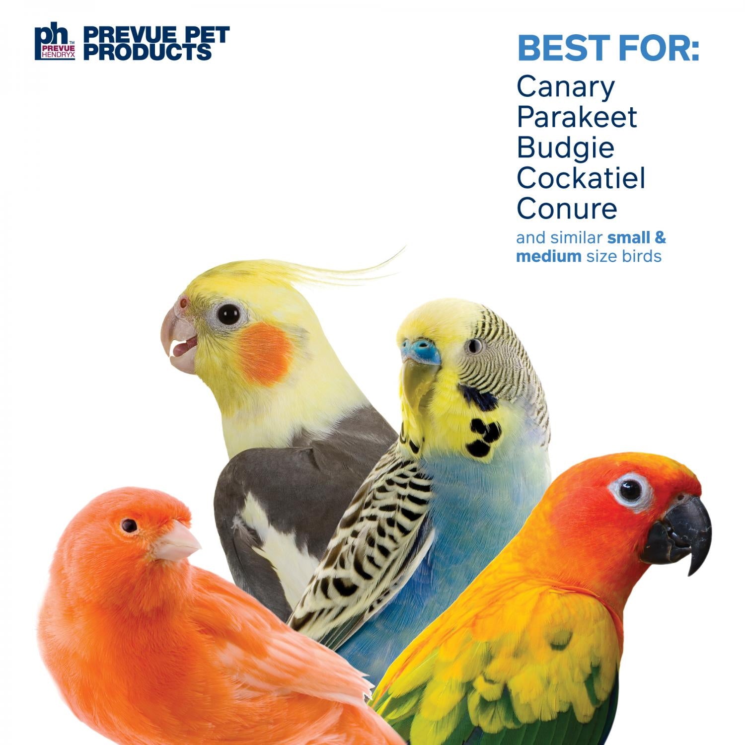 Prevue Pet Products Double Coconut with Ladder 62818
