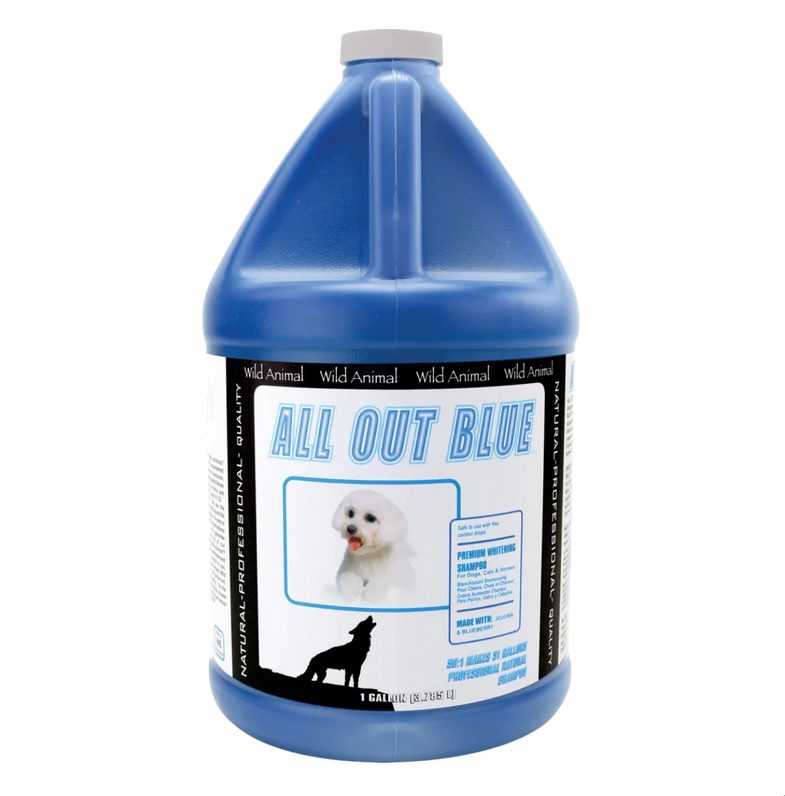 LAUBE Wild Animal All Out Blue Shampoo 1 Gallon