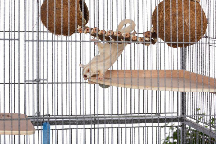 Prevue Pet Products Double Coconut with Ladder 62818
