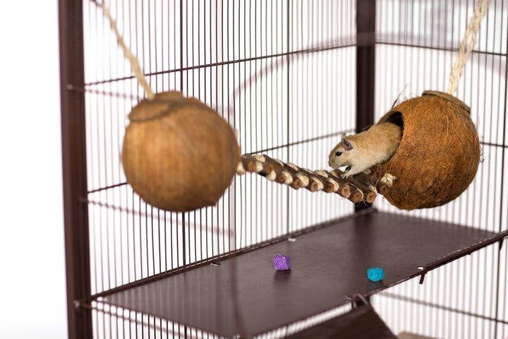 Prevue Pet Products Double Coconut with Ladder 62818