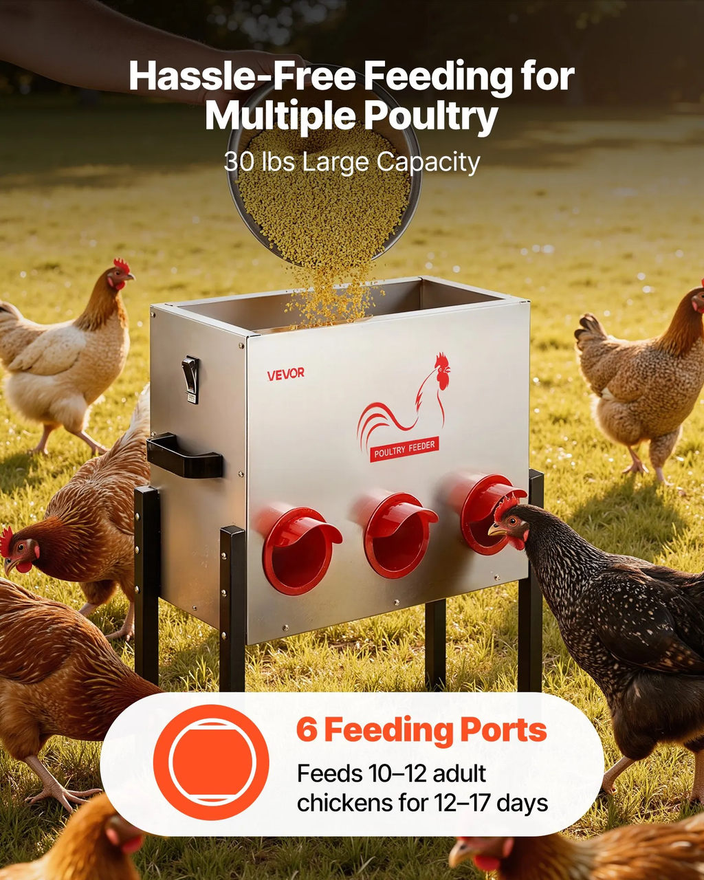 Automatic Chicken Feeder, 30 lbs Capacity, 6 Feeding Ports No-Waste Poultry Feeder, Automatic Gravity, with Adjustable Height & Locking Lid, Metal Construction, for Chickens Bantams Pheasants